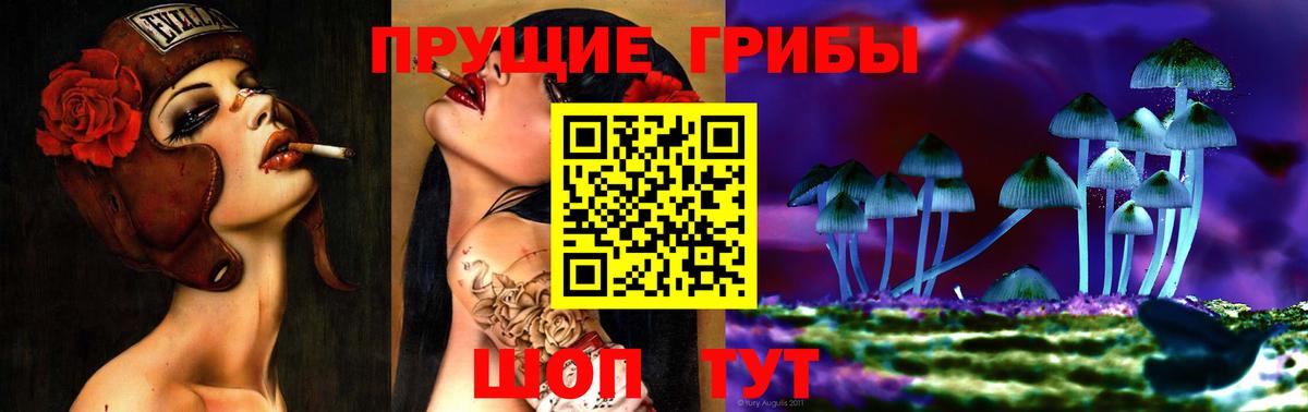 Псилоцибиновые грибы Psilocybe Арзамас